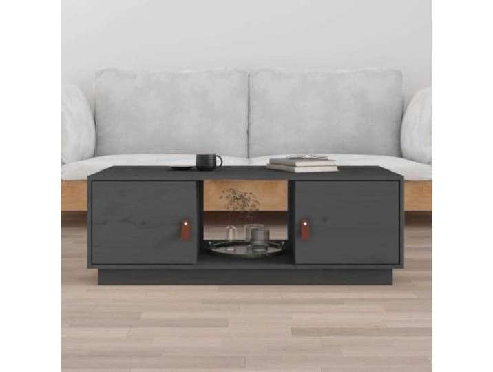 HEFZGDB Couchtisch Grau 100x50x35 cm Massivholz Kiefer mit Stauraum Fächern, Moderner Wohnzimmertisch Beistelltisch aus Rustikalem Naturmaterial