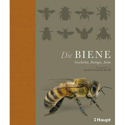 Die Biene, Gebundene Ausgabe von Noah Wilson-Rich, Haupt Verlag