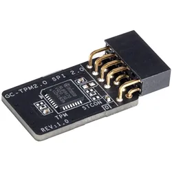Gigabyte GC-TPM 2.0 SPI V2, Mainboard Zubehör