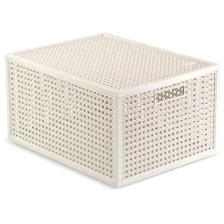 Box KAYA 20L weiß (LBH 41,60x30x7,10 cm) - weiß - LBH 41,60x30x7,10 cm