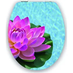 Diaqua, WC Deckel, Lotus