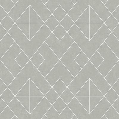 Vliestapete SUPERFRESCO EASY "Demi Grau", grau, B:0,53m L:10m, Vlies, Tapeten, botanisch