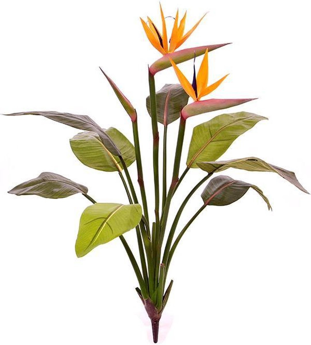 Maxifleur Strelitzia kunstplant 75 cm