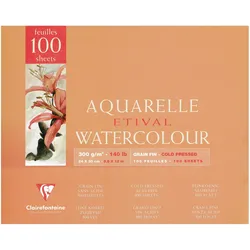 Clairefontaine, Bastelpapier, Feuchte Techniken (300 g/m2, 100x)