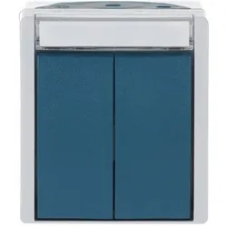 Busch-Jaeger Doppeltaster, Schalter + Taster, Blau