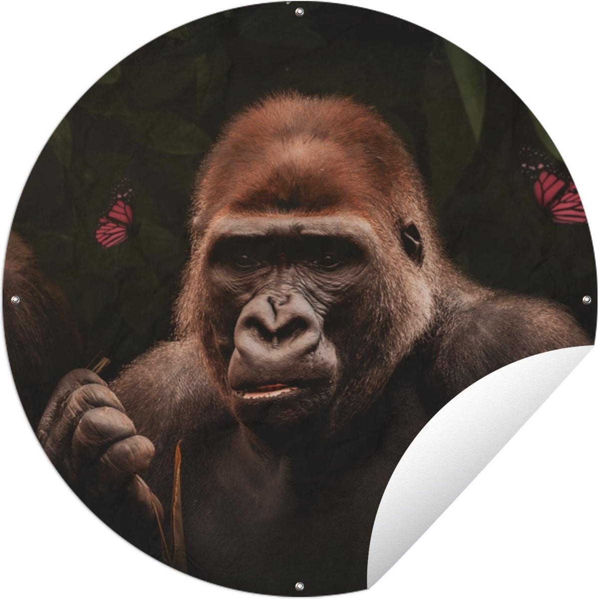 Ronde Tuinposter Tuincirkel Dieren Aap en Gorilla - 150 x 150 cm