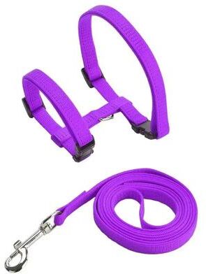 Uplifted Finds H Frame Anti Escape Harness & Leash Set purple