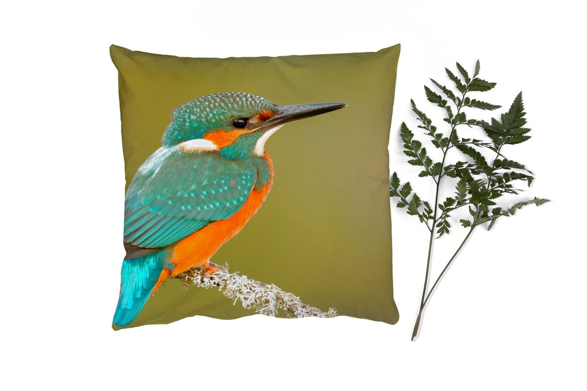 PillowMonkey Sierkussen IJsvogel - 50 x 50 cm