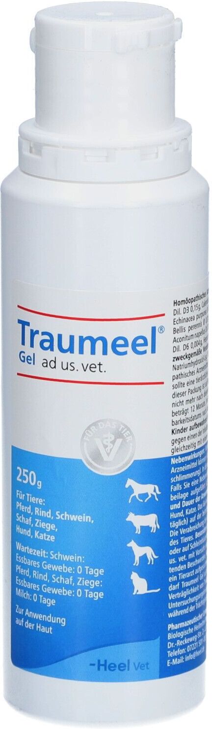 Traumeel VET Traumeel Gel ad us.vet. 250 g