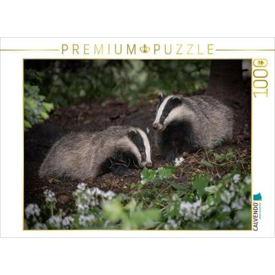 CALVENDO Puzzle Dachs | 1000 Teile Lege-Größe 64x48cm Foto-Puzzle für glückliche Stunden