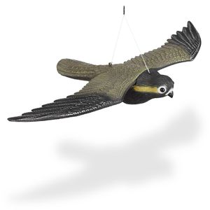 Relaxdays Vogelabwehr Raubvogel Falke, Falke aus Kunststoff, grün/schwarz