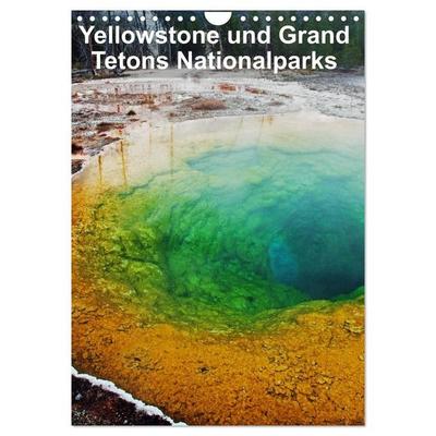 Yellowstone und Grand Tetons Nationalparks (Wandkalender 2027 DIN A4 hoch), CALVENDO Monatskalender