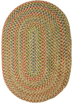 Rhody Rug Katie Indoor/ Outdoor Braided Area Rug