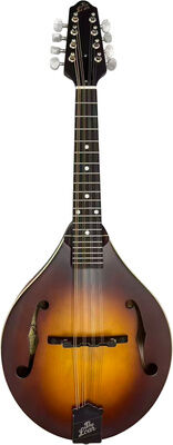 The Loar LM-110E-BRB Satin Golden Brown Burst