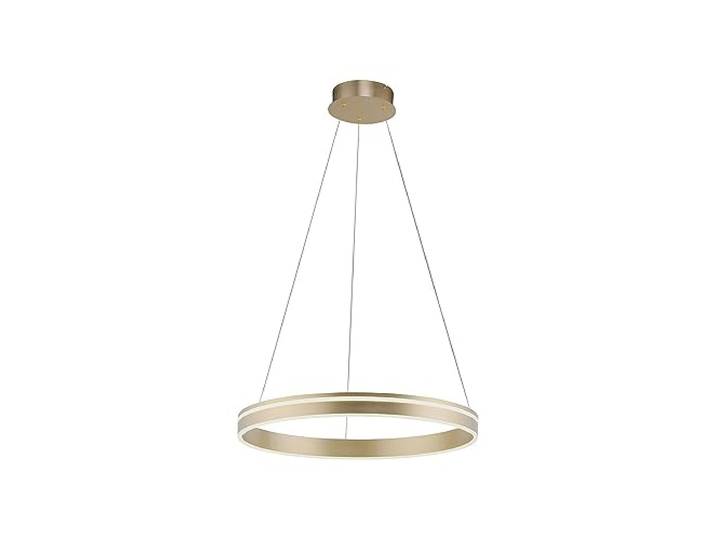 Paul Neuhaus Q-VITO LED Pendelleuchte 59cm messing smarthome Fernbedienung