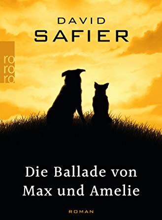 David Safier - Die Ballade von Max und Amelie - Preis vom 10.10.2026 11:48:34 h