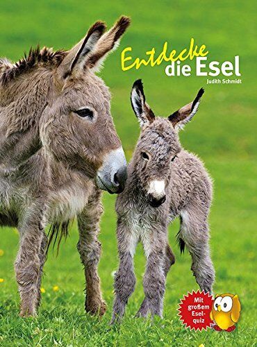 Judith Schmidt - Entdecke - Die Reihe mit der Eule / Kindersachbuchreihe: Entdecke die Esel - Preis vom 10.10.2026 11:48:34 h