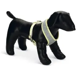Beeztees Bronda (L, Hund, Spazieren), Halsband + Leine