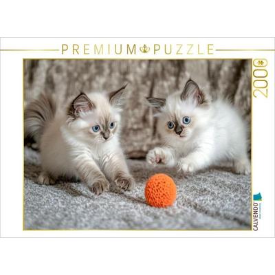 CALVENDO Puzzle Spieltrieb pur | 2000 Teile Lege-Größe 90x67cm Foto-Puzzle für glückliche Stunden, von , Calvendo Puzzle