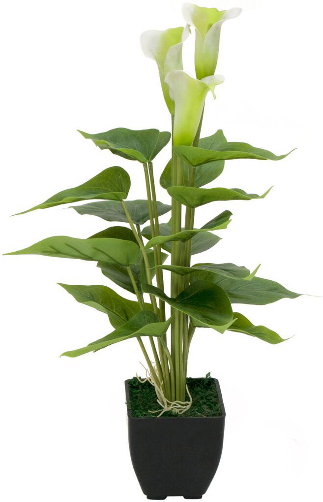Europalms Calla Mini, Weiß, 43cm