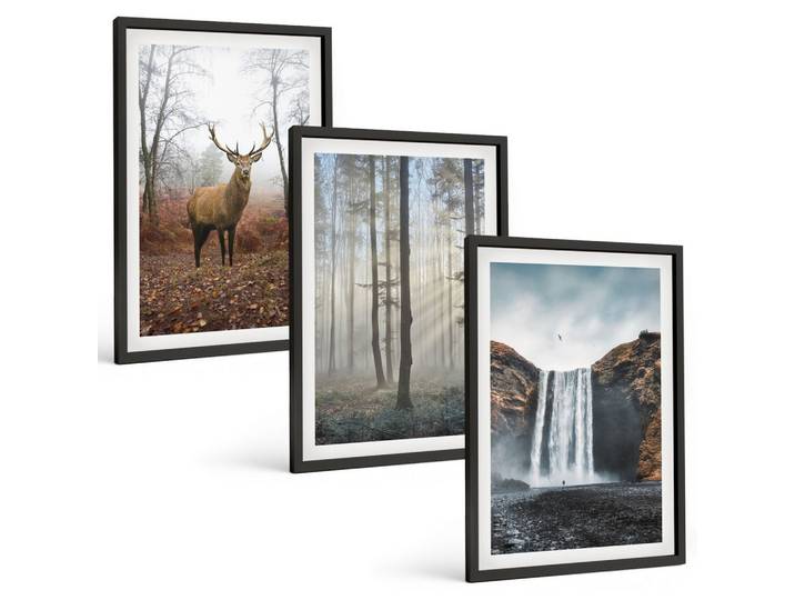 BILDER SET 3er Set - 40x60 cm Schwarzer Rahmen - Waldlandschaften, wilde Natur
