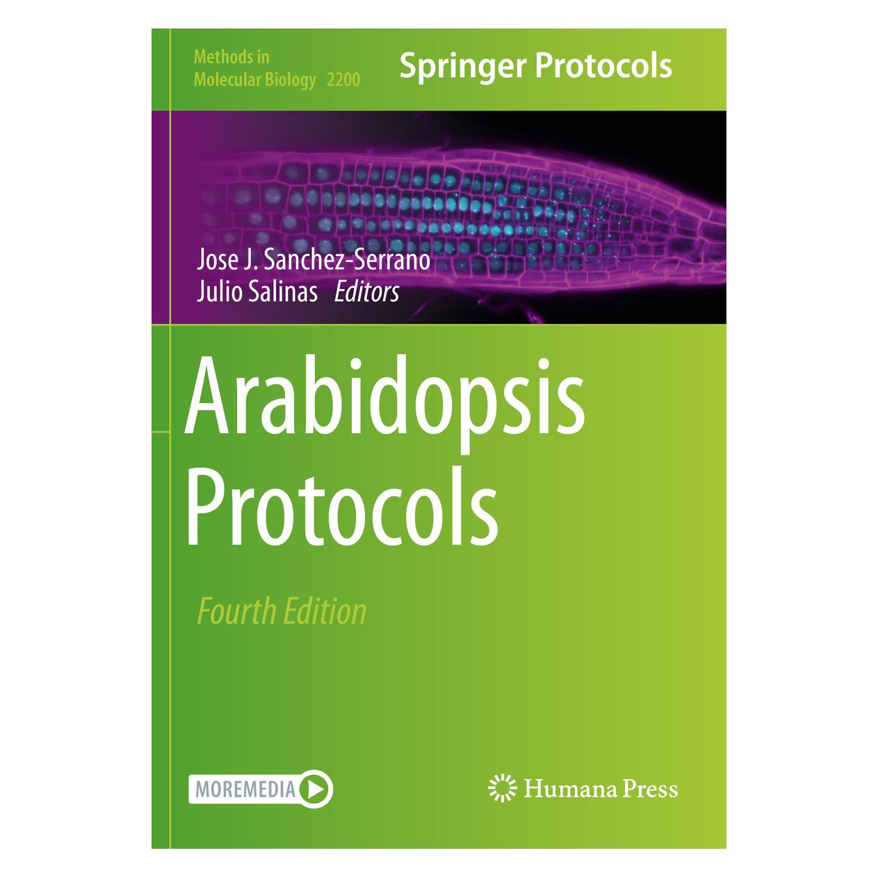 Springer Arabidopsis Protocols (Englisch, Softcover, Jose J. Sanchez-Serrano, Julio Salinas) (56823281)