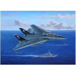 Hobby Boss F-14B Tomcat
