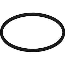 hansgrohe O-Ring 58 x 3 98202000