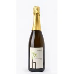 Gelber Muskateller Sekt trocken Weingut Hirschhof