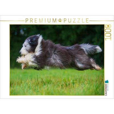 CALVENDO Puzzle Bearded Collie im Flug über die Wiese | 1000 Teile Lege-Größe 64x48cm Foto-Puzzle für glückliche Stunden