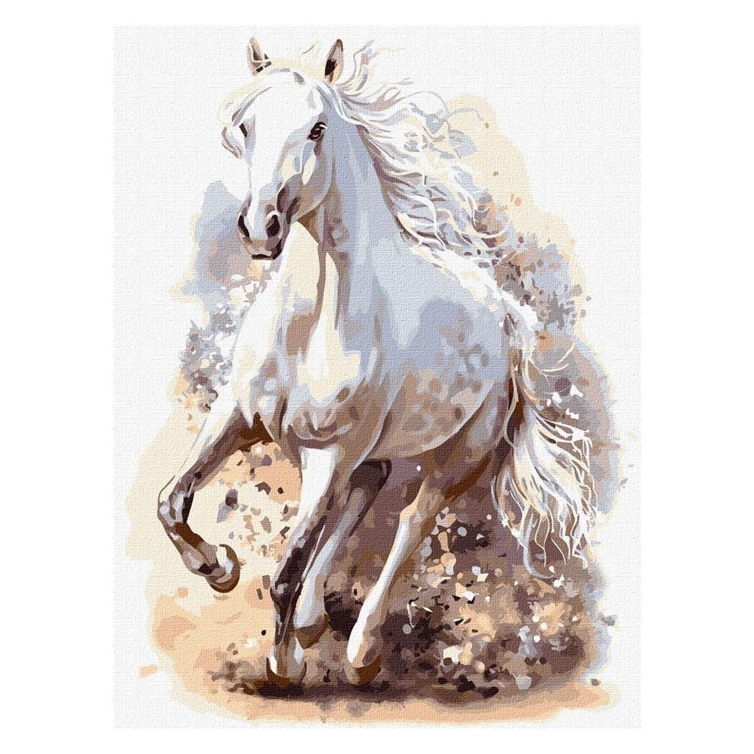 Ideyka Malen nach Zahlen - Raffinierte Galingumas 30x40cm (485576)