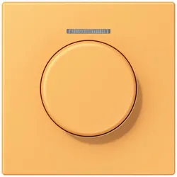 Jung Abdeckung mit Lichtleiter LC 1940 KO5 254