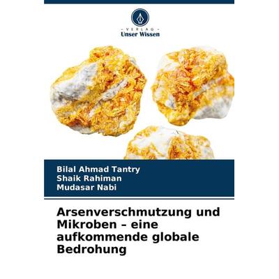 Arsenverschmutzung und Mikroben - eine aufkommende globale Bedrohung, Taschenbuch von Bilal Ahmad Tantry,Shaik Rahiman,Mudasar Nabi, Verlag Unser