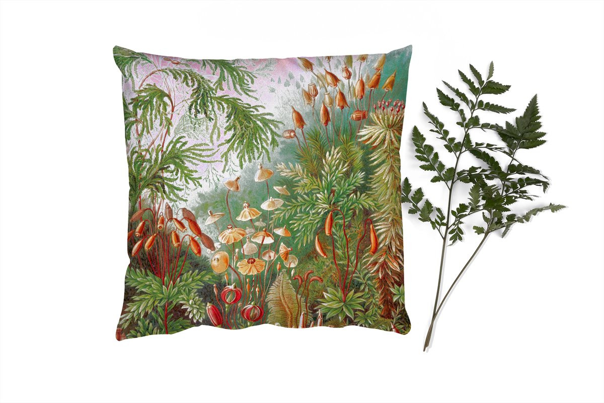 Sierkussen Muscinae Haeckel Oude Meesters Kunst PillowMonkey 45 x 45 cm