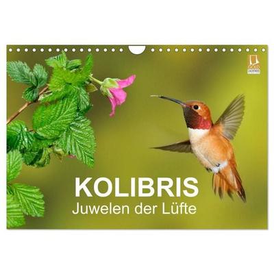 Kolibris - Juwelen der Lüfte (Wandkalender 2027 DIN A4 quer), CALVENDO Monatskalender