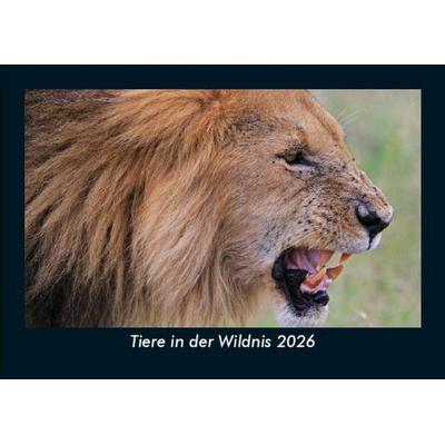 Tiere in der Wildnis 2026 Fotokalender DIN A5