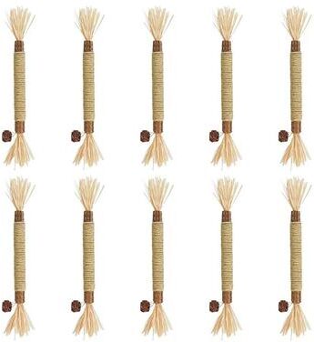 Inspired Finds Natural Cat Mint Teeth Cleaning Chew Stick Toy With Rope For Cats 10pcs