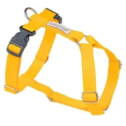 Amiplay Guard Samba verstellbarer Gurt M Gelb