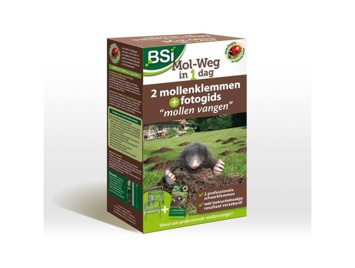 BSI Mol weg in 1 dag