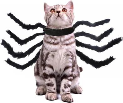 Inspire Curations Spooky Wings Pet Costume Halloween Pet Costume With Bat Wings & Spider Harness For Cats And Dogs black Spider Large