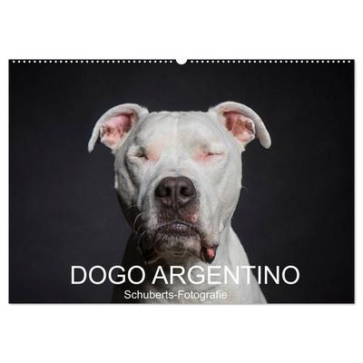 DOGO ARGENTINO (Wandkalender 2027 DIN A2 quer), CALVENDO Monatskalender