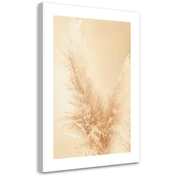 WANDBILD pampasgras makro