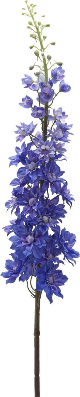 Edg Rittersporn Blau H: 135 cm  Blau