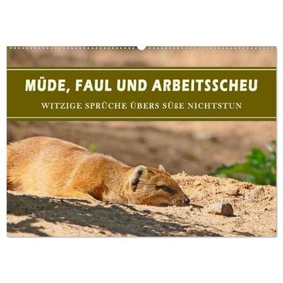 Müde, faul und arbeitsscheu (Wandkalender 2027 DIN A2 quer), CALVENDO Monatskalender