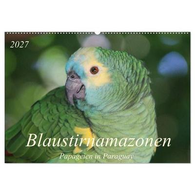 Blaustirnamazonen - Papageien in Paraguay (Wandkalender 2027 DIN A2 quer), CALVENDO Monatskalender