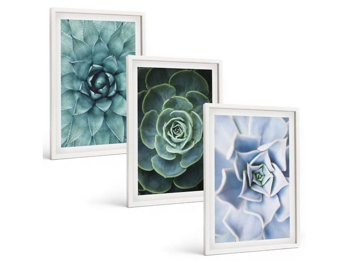 Tulup Bilder SET 3er Set - 40x60 cm Weißer Rahmen - Sukkulente Pflanzen grün türkis, Kunststoff, Rechteckig, 40x60 cm, einfache und schnelle Anbringung, Bilder & Rahmen, Bilder