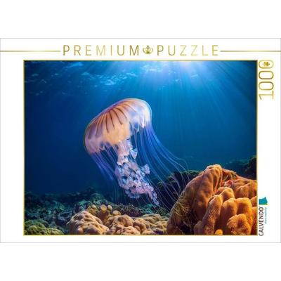 CALVENDO Puzzle Qualle im blauen meer | 1000 Teile Lege-Größe 64x48cm Foto-Puzzle für glückliche Stunden