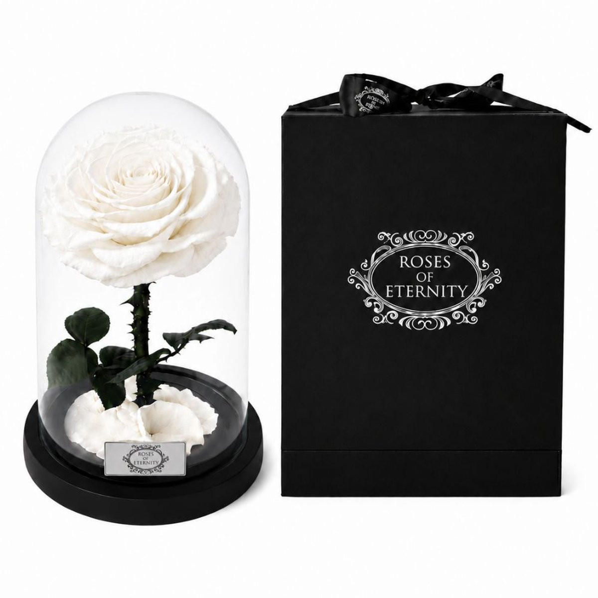 Roses of Eternity - Witte longlife roos in glazen stolp