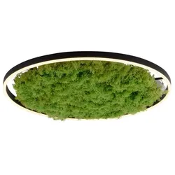 JUST LIGHT. LED-Deckenleuchte Gerda Ritus Moos 58,5 cm