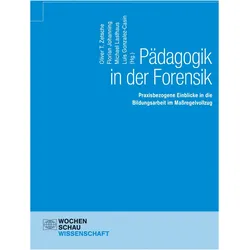Pädagogik in der Forensik, Fachbücher von Oliver T. Zetsche, Michael Lasthaus, Florian Johanning, Luis Gonzalez-Casin